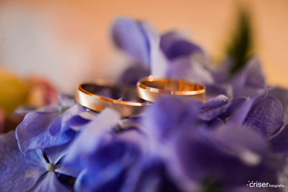 criserfotografia anillos boda-3